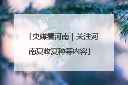 央媒看河南｜关注河南夏收夏种等内容